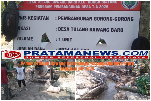 Pemdes Tulang Bawang Baru Bunga Mayang bangun gorong- gorong Desa