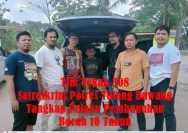 Pelaku pemerkosaan dibekuk Tim Tekab 308 Satreskrim Polres Tulang Bawang pada Rabu, 23 Juli 2025, sekitar pukul 12.00 WIB, di sebuah area perkebunan tebu di Kabupaten Mesuji, Lampung