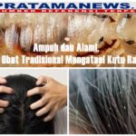 Masalah kutu rambut kerap menjadi keluhan, terutama bagi anak-anak dan remaja. Hewan kecil yang hidup di kulit kepala ini tidak hanya menimbulkan rasa gatal, tetapi juga dapat menurunkan rasa percaya diri. (16/9)