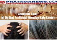 Masalah kutu rambut kerap menjadi keluhan, terutama bagi anak-anak dan remaja. Hewan kecil yang hidup di kulit kepala ini tidak hanya menimbulkan rasa gatal, tetapi juga dapat menurunkan rasa percaya diri. (16/9)