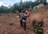 “Personel Polri sebanyak 205 personel diturunkan untuk membantu proses pencarian korban di hari ke-2 dengan melibatkan tim anjing pelacak atau K9 gabungan,” ujar Kapolres Cilacap Kombes Budi Adhy Buono kepada wartawan, Sabtu (15/11/2025).