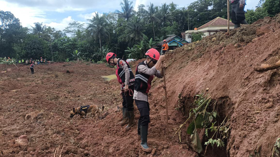 “Personel Polri sebanyak 205 personel diturunkan untuk membantu proses pencarian korban di hari ke-2 dengan melibatkan tim anjing pelacak atau K9 gabungan,” ujar Kapolres Cilacap Kombes Budi Adhy Buono kepada wartawan, Sabtu (15/11/2025).