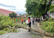 Polres Lampung Utara melalui Pamapta III bersama piket fungsi bergerak cepat mengevakuasi pohon tumbang yang menghalangi akses jalan di Jalan Stadion Sukung.