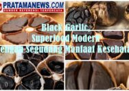 Black garlic adalah bawang putih (Allium sativum) yang difermentasi selama 10–40 hari pada suhu 60–90°C dengan kelembapan sekitar 70–90%.