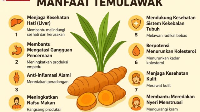 Temulawak untuk Kesehatan, Herbal Khas Nusantara yang Mulai Dikenal Dunia