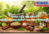 Foto: Ketika Alam Jadi Apotek, Mengenal Khasiat Herbal yang Mulai Ditinggalkan