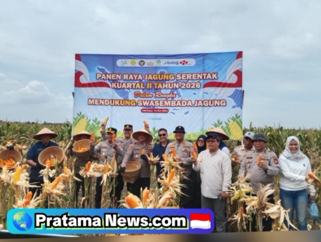 Polres Ogan Ilir Bersama Kelompok Tani Gelar Panen Raya Jagung Serentak, Dukung Swasembada Pangan Nasional 2026