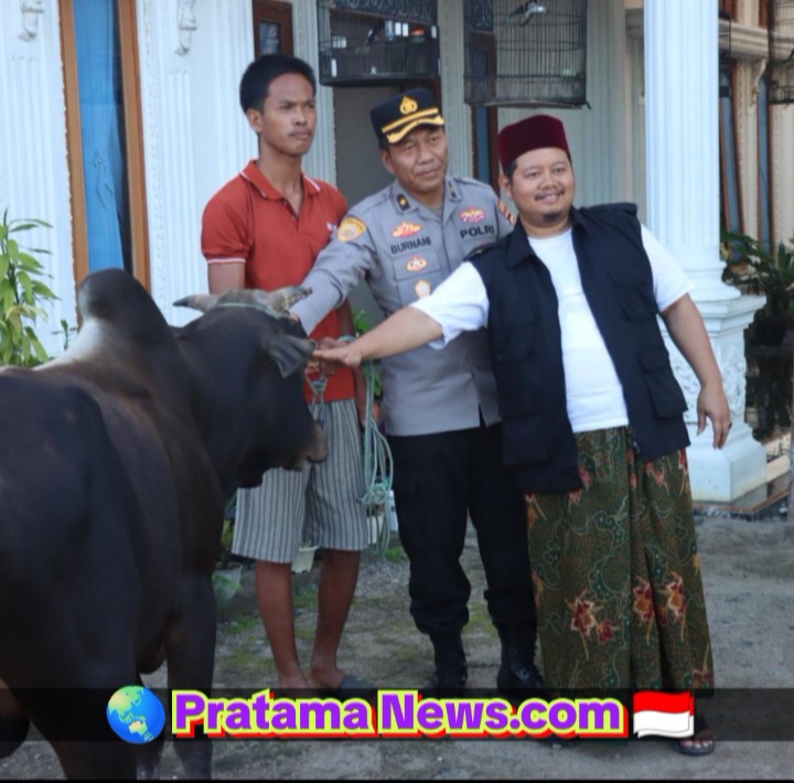 IDUL ADHA POLDA SUMSEL SALURKAN 3 EKOR SAPI QURBAN UNTUK PONDOK PESANTREN DI OGAN ILIR