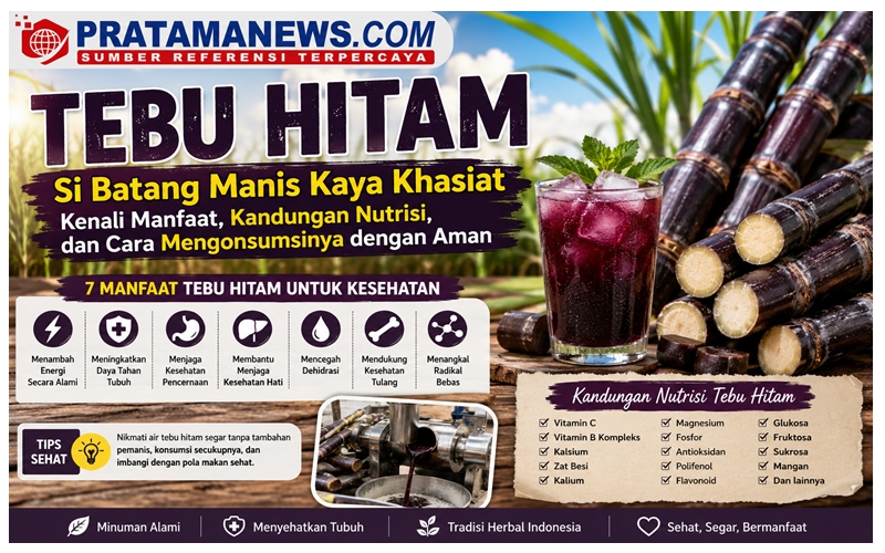 Tebu Hitam, Si Batang Manis Kaya Khasiat: Kenali Manfaat, Kandungan Nutrisi, dan Cara Mengonsumsinya dengan Aman