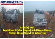 Breaking News! Kecelakaan di Jalur Simpang 6–PG Bunga Mayang, Minibus Kijang Ringsek di Kebun Tebu