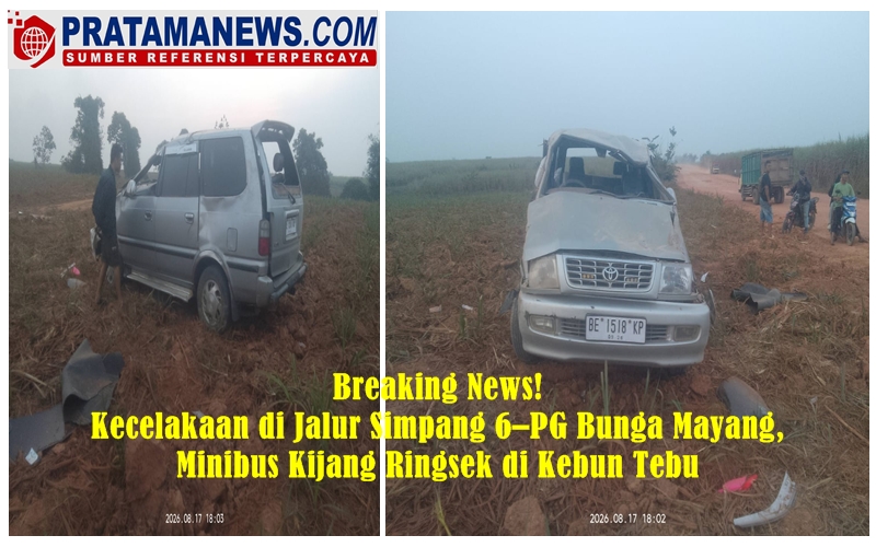 Breaking News! Kecelakaan di Jalur Simpang 6–PG Bunga Mayang, Minibus Kijang Ringsek di Kebun Tebu