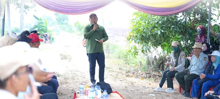 Musim Kemarau, Petani Rambutan Tetap Mampu Panen hingga 10 Ton